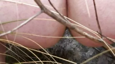 মাই এর কাজের বাংলা ওপেন চুদা চুদি