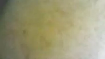 গটফিলড: এল বাংলা চুদা চুদি